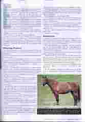 AQHA Journal Page 2 button