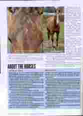 AQHA Journal Page 3 button