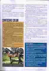 AQHA Journal Page 4 button