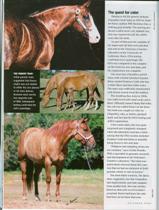Equus Magazine Page 2 button