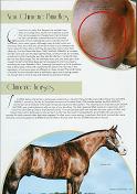 Western Horse Page 2 button