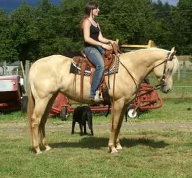 photo of 2006 filly