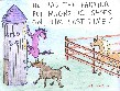 Cow Magnet cartoon