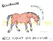 Owners Manual #4 cartoon